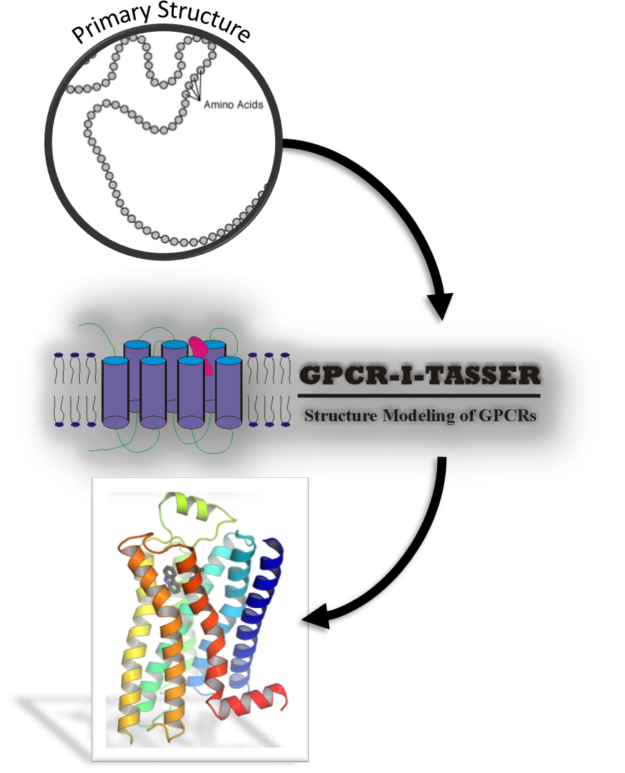 GPCREXP Database for ExperimentallySolved GPCR Structures