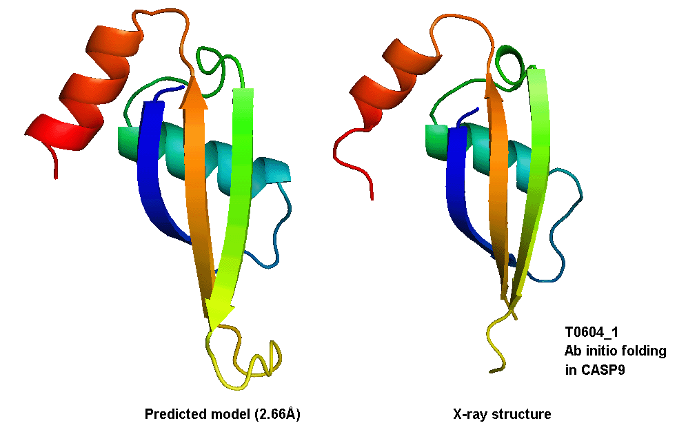 I-TASSER model vs crystal structure of T0604_1, a CASP9 FM target